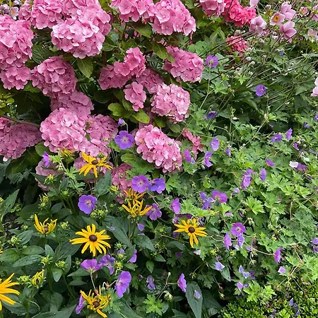 Dorfblick Bei Familie Ernst 아파트